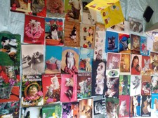LOTTO CARTOLINE TEMATICHE GATTI - GATTO - CHAT - CAT - 'I pensieri di Mao'