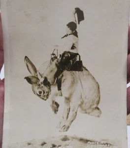 SUNFISHIN - BUCKING BUNNY - COWBOY - POST CARD - listing # 485 - Picture 1 of 8