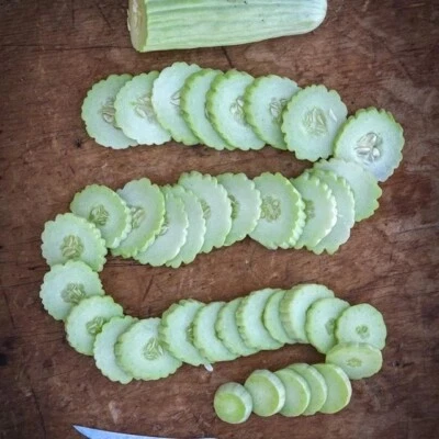 Seed- Armenian Yard Long Cucumber  Heirloom, Crisp & Sweet, Drought-Tolerant - Image 1 of 4