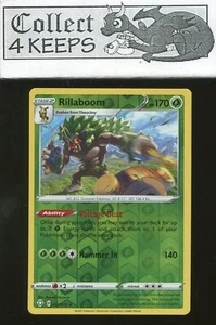 Rillaboom Reverse Holo Rare 013/072 Shining Fates Pokemon TCG - Picture 1 of 2