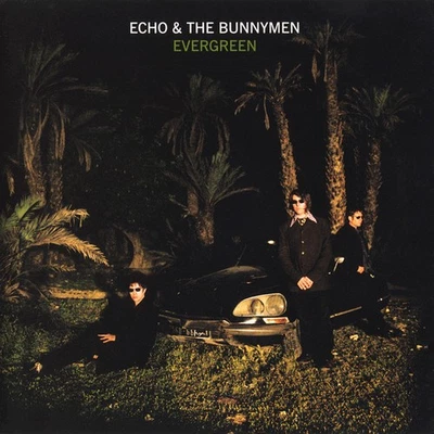 Echo & The Bunnymen - Evergreen - (CD, Album) (Very Good Plus (VG+)) Foto 1 de 4