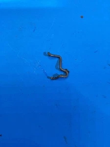 Jonsered 625 Chainsaw OEM 630, 670  Carburetor Linkage   Bin 16 - Picture 1 of 2