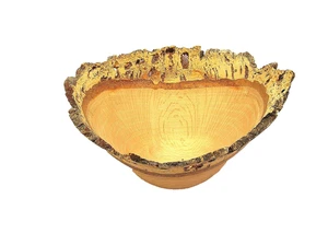 SELTENE 2008 UC DAVIS KORK EICHE SCHALE - SIGNIERT - 6 1/4" HOCH - PREISVORSCHLAG - Bild 1 von 8