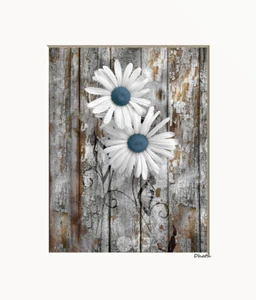 Rustic Home Decor Daisy Flowers Farmhouse Matted Blue Wall Print (Handmade) - Picture 1 of 10
