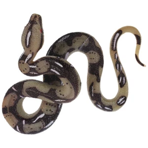 Broma Animal Serpiente Juguete Gato Control Remoto Serpientes Difícil Miss Niño Regalo Nuevo - Imagen 1 de 12