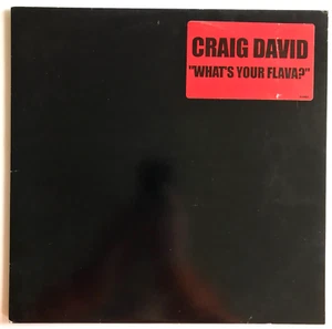 Craig David – What's Your Flava ? - Vinyl 12 US Promo 2002 DL - Picture 1 of 4