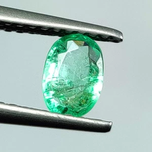 0.44 CT - Natural Zambian Emerald Oval Cut Fine Luster Green Gem - 8473 - Imagen 1 de 2