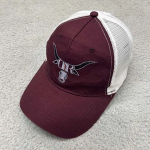 Darius Rucker Mütze Cap Herren Truckermütze One Size Cap Amerika Musik Sänger - Bild 1 von 8