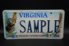 Virginia BEAR License Plate Sample - WILDLIFE CONSERVATION