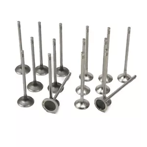 16x Valve Kit Intake &Exhaust Fit For MINI N12B16A N14B16 EP6DT 1.6L 11347547187 - Picture 1 of 8