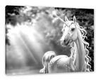 Magic Unicorn IN Enchanted Forest, Monochrome, Canvas Picture