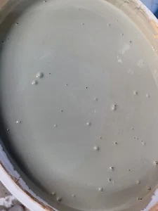 12,5 Liter Caparol Capamaxx Restposten (4,40€/L) Ton Offener Farbeimer - Bild 1 von 2