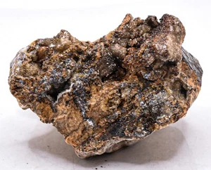 280g Stromatolite Algae Fossil Rough Natural Gemstone Crystal Mineral Raw - Peru - Picture 1 of 6