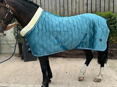 Horse Stable Rug Show Rug Faux Fur Lined 100 gsm Filling Size 5'9"-6'9" - Image 1 of 4