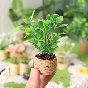 2 Stück Maßstab 1:12 Puppenhaus Miniatur Grüne Topfpflanzen Baum Dekor Zubehör - Picture 1 of 11