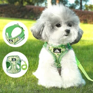 Cat Dog Harness Strap Rope Leash Breathable Mesh Vest Chest Strap Pet Owner Gift - Picture 1 of 14