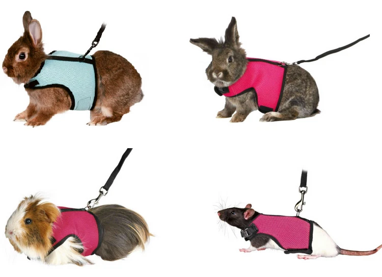 Trixie Softgeschirr Leine Kaninchen Nagetier Meerschweinchen Ratte Nager - Bild 1 von 4