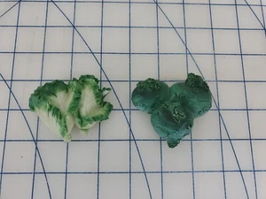 par de imanes de nevera vintage verduras lechuga colinabo nevera ¡LINDO! - Imagen 1 de 10