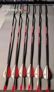 Bloodsport Hunter 350 Spine- Precut 29" w/ inserts Fletched New! FOR 1 ARROW - Picture 1 of 3
