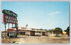 Peter Pan Motor Lodge Anaheim CA Postcard — Retro 1960s Disneyland Era - Picture 1 of 3