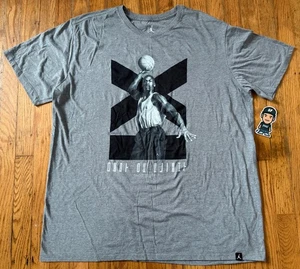 VTG NIKE AIR JORDAN XI 11 GREY SHIRT TEE JUMPMAN CONCORD SPACE JAM BRED RARE XL - Picture 1 of 5