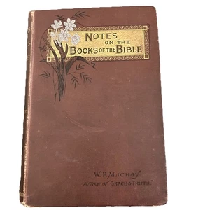 Notes on the Books of the Bible Dr W P Mackay 1887 Hodder Stoughton Hardback - Foto 1 di 22
