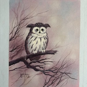 Vintage Owl Painting on Canvas Signed Tempel 13x11 Pastel Trees A1680A Unframed - Picture 1 of 6