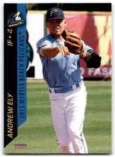 2015 CHOICE MYRTLE BEACH PELICANS ANDREW ELY MYRTLE BEACH PELICANS #10