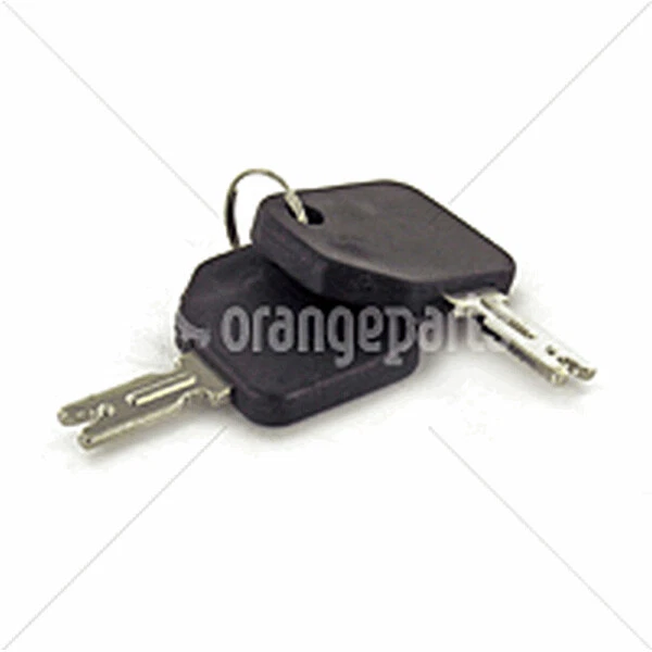 HYSTER FORKLIFT KEY SET OF TWO 181333