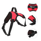 Practical Saddle Traction Rope Harness Pet Supplies Large Dog