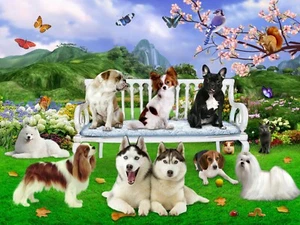 "NEW” Dogs animals Jigsaw puzzle 250 pieces cool boardgame for boys girls adult - Picture 1 of 12