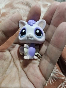 LITTLEST PET SHOP #1663 Sugar Glider Bat - Picture 1 of 3