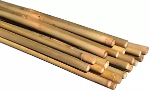 Postes de bambú natural ecológicos soporte para plantas estacas de jardín 16 pulgadas de largo (20-C - Imagen 1 de 12