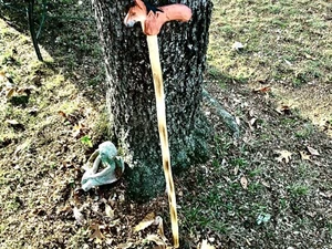 Rustic Wooden Hand Carved Walking Stick Cane Unique Horse Head Handle 36” Tall - Picture 1 of 4