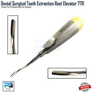 Oral Surgery Root Elevator E-77R Extraction Tooth Loosening Veterinary Elevators - Picture 1 of 7