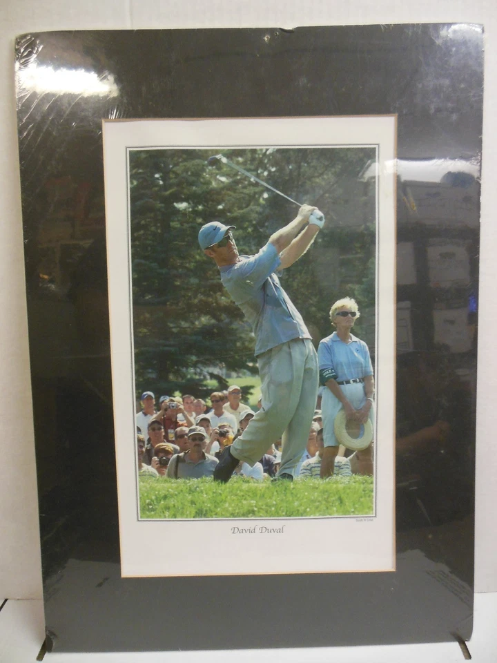 Foto mate de golfista David Duval 22" x 16" mate 13" x 9" foto Foto 1 de 1