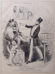 c1841 SIR RHUBARB PILL MESMERISING THE BRITISH LION Satirical News & Cartoons - Picture 1 of 2