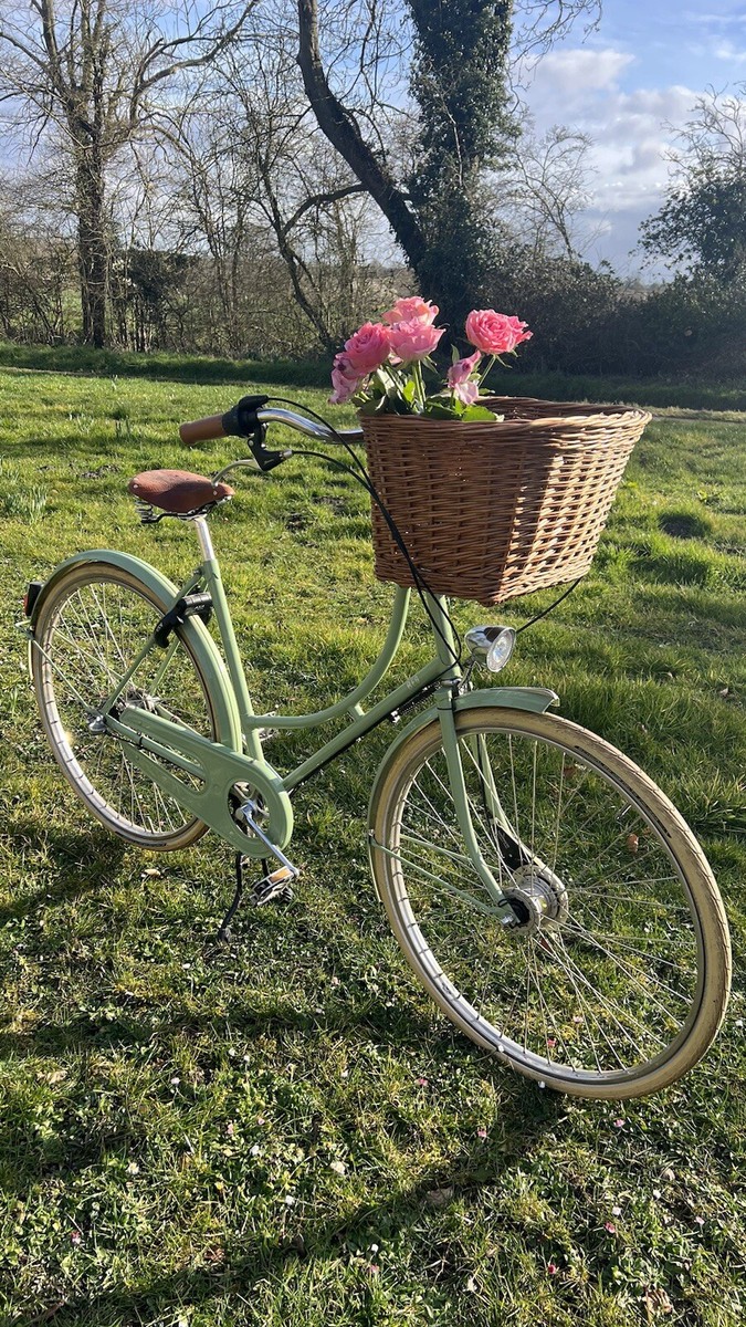 Ladies Bikes Dutch Sit Up And Beg Bike Womens Dutch Style Bike Store