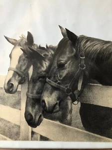C W Anderson Horses At The Fence Cut Out From 1944 Book Heads Up-Heels Down - Picture 1 of 3