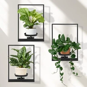 New-Wall Planters for Indoor Plants, Window Plant Shelves Set of 3, Wall Plant S - Picture 1 of 7