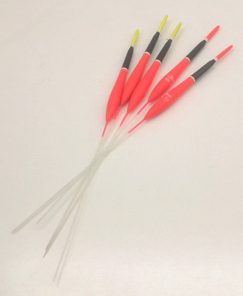 Lotto 5 Galleggianti BACCI - EX - 1 gr - L900 - Immagine 1 di 4