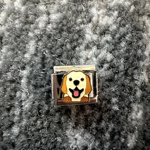 Italian Charm Golden Retriever Dog Link Stainless Steel Silver Jewelry Dog Y2K - Picture 1 of 3
