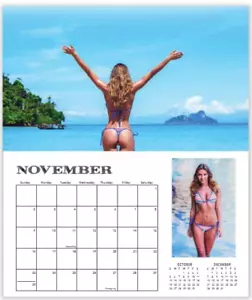 2025 BEACH BUNS TRAJE DE BAÑO CALENDARIO océano sexy chicas calientes bebés surf bikini tanga - Imagen 1 de 5