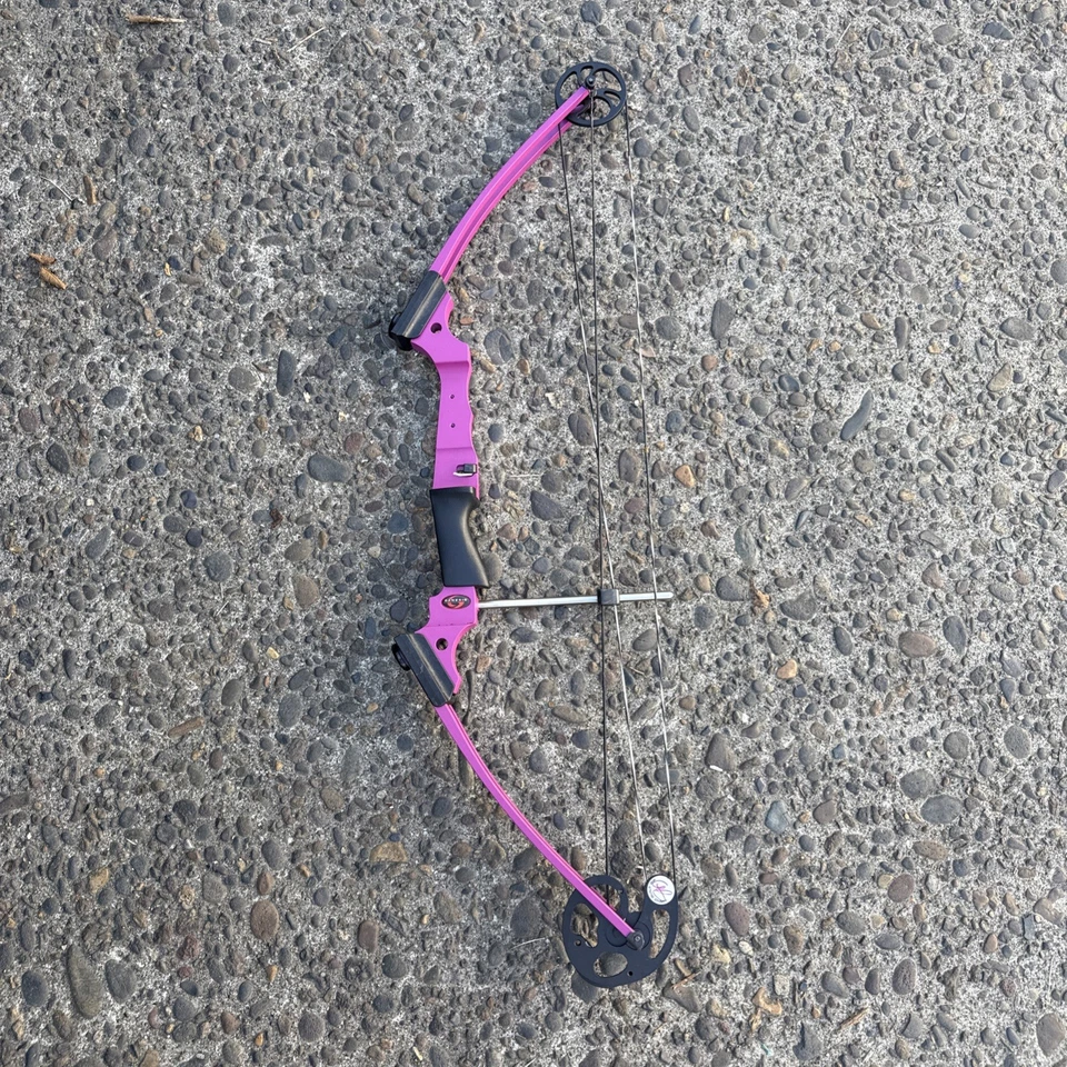 Genesis ARCHERY 原装复合弓右手拉紫色比赛 — 第 1/4 张图片