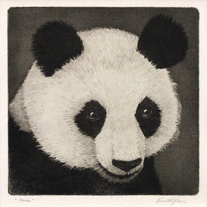 Kenneth Reeve "Panda" 6"x6" aquatint etching - Historic Indiana Art - Picture 1 of 2