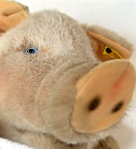 Vintage Steiff Large Pig Piggy Molly Schwein Swine Yellow Tag & Button CLEAN 24"