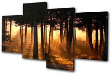 Landscapes Forest Trees MULTI CANVAS WALL ART Picture Print VA
