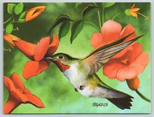 Tarjeta de felicitación artista Michael Hegedus colibrí pájaro sobre interior en blanco - Imagen 1 de 2