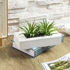 10 In Artificial Green Grass Plants in White Wood Centerpiece Decorative Planter