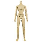 Deluxe FEMALE 6 inch Articulated Tan Body